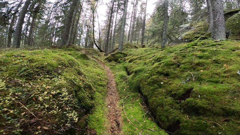 Slettfjell, Oslo