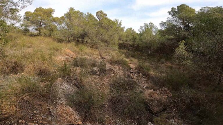 La Meula, Spain