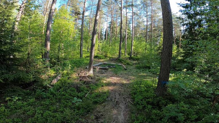 Sognsvann, Oslo