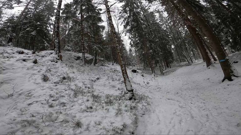 Sognsvann, Oslo