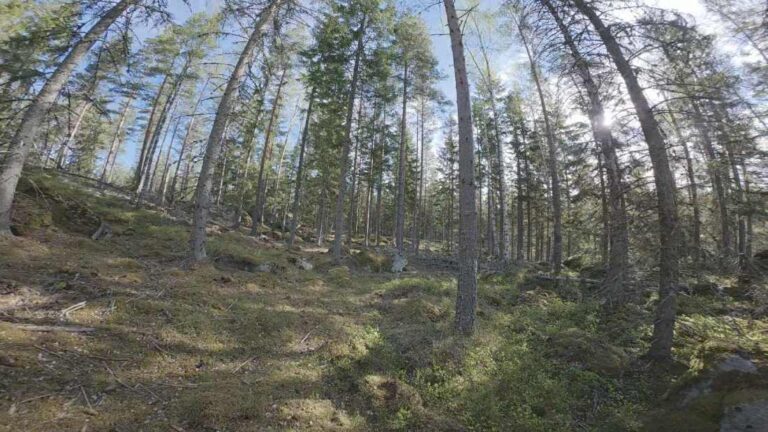 Finspång
