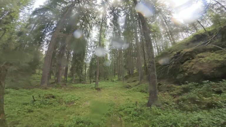 Sarabråten
