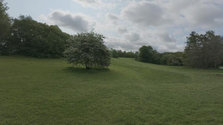 Bulltoftaparken