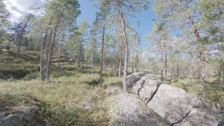 Skärsättsberget