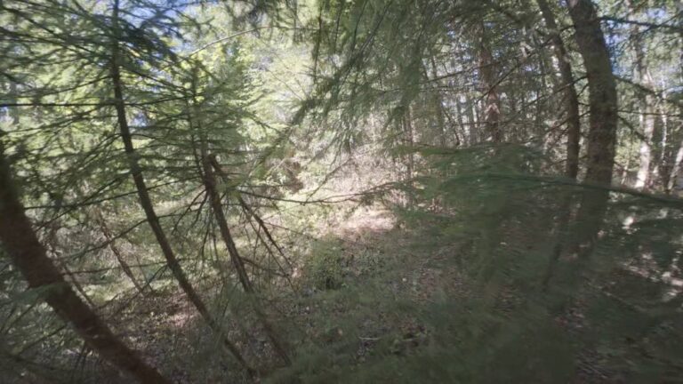 Nøgbrennåsen