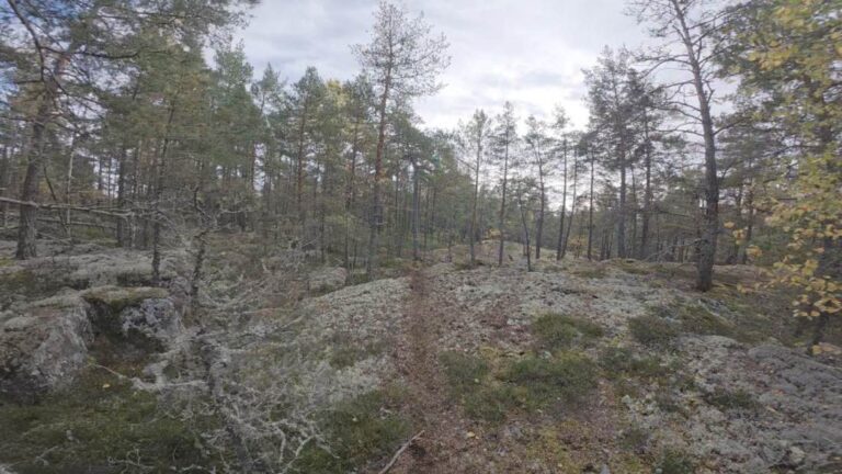 Upplands Väsby