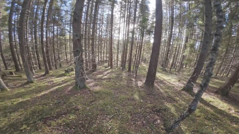 Upplands Väsby
