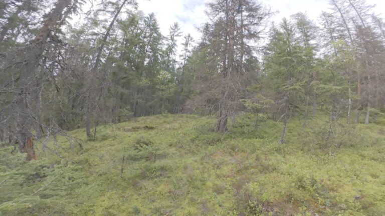 Stokkvann